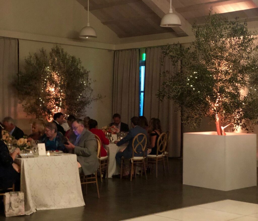 Olive Tree Rentals
